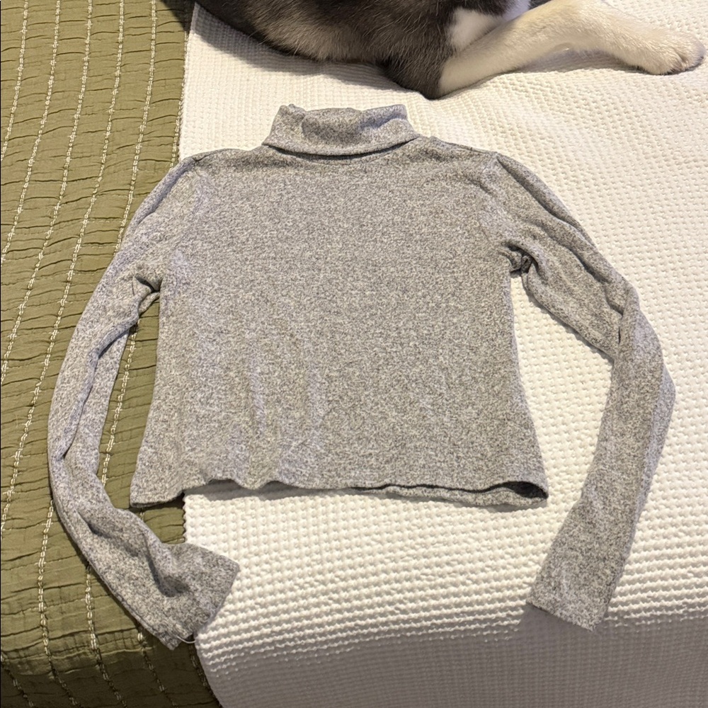 Zara Heather Gray Knit Top